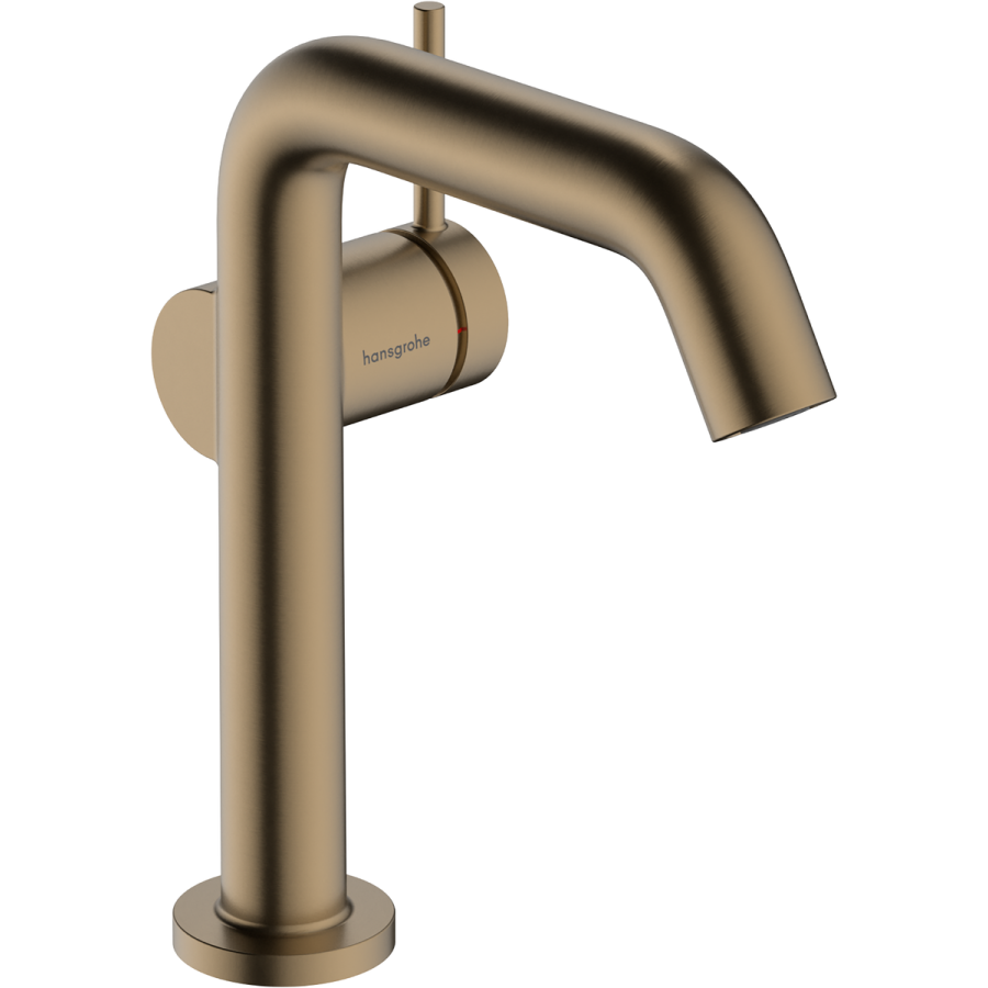 Praustuvo maišytuvas Hansgrohe Tecturis S     73342140